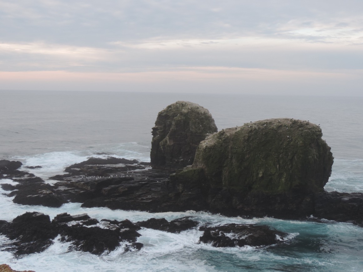 Place Punta de Lobos