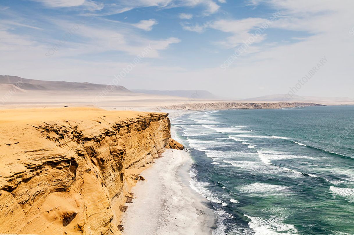 Lugar Paracas National Reserve