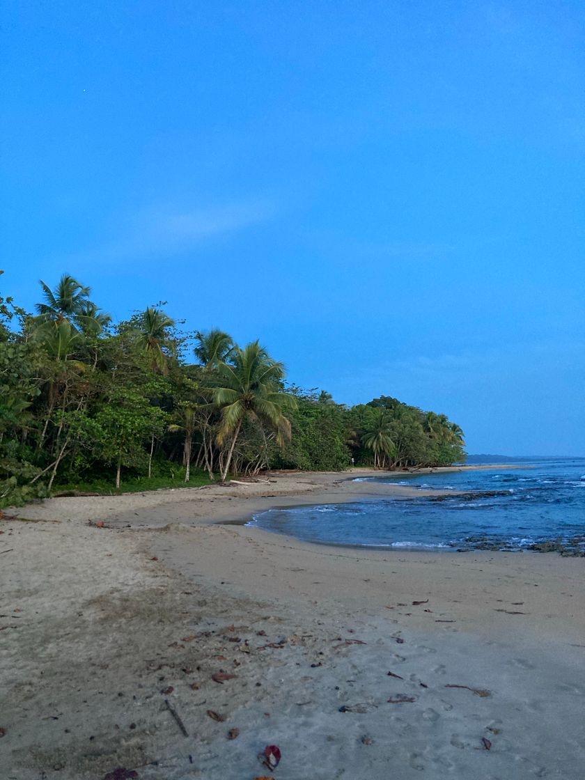 Lugar Playa Chiquita