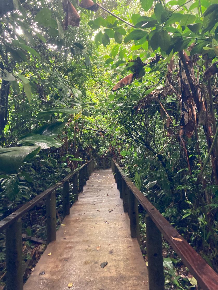 Lugares Pachira Lodge