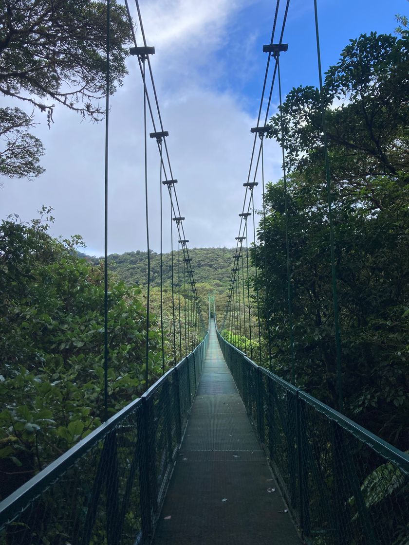 Lugares Selvatura Adventure Park