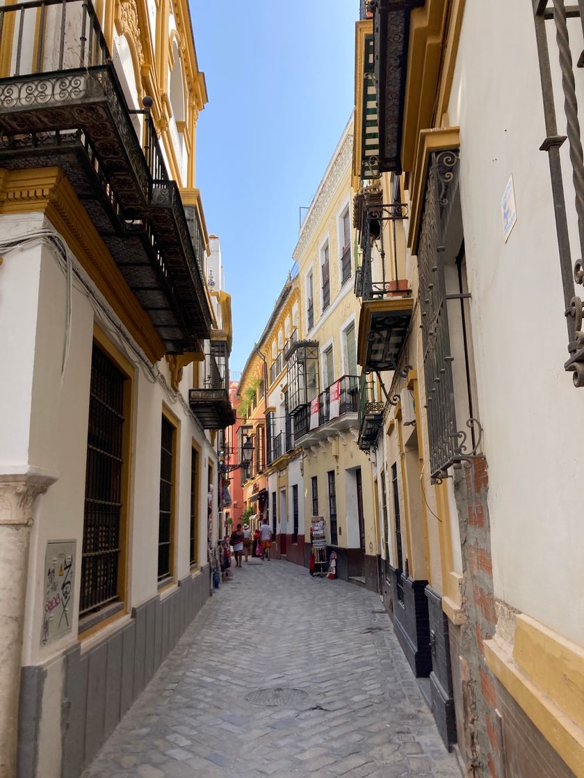 Place Barrio de Santa Cruz