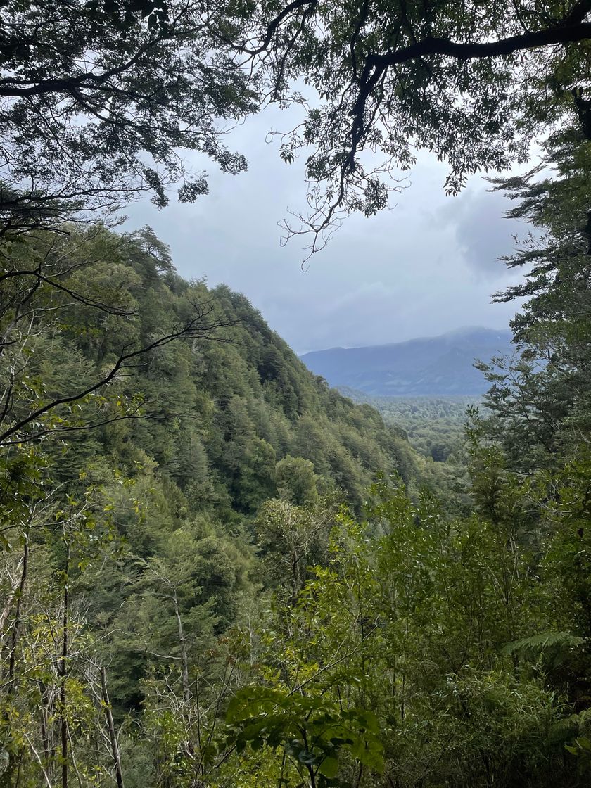 Places Parque Nacional Puyehue