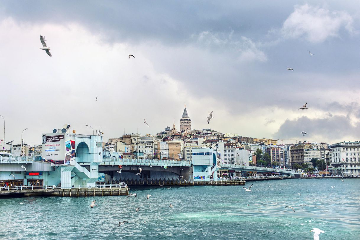 Place Galata Bridge