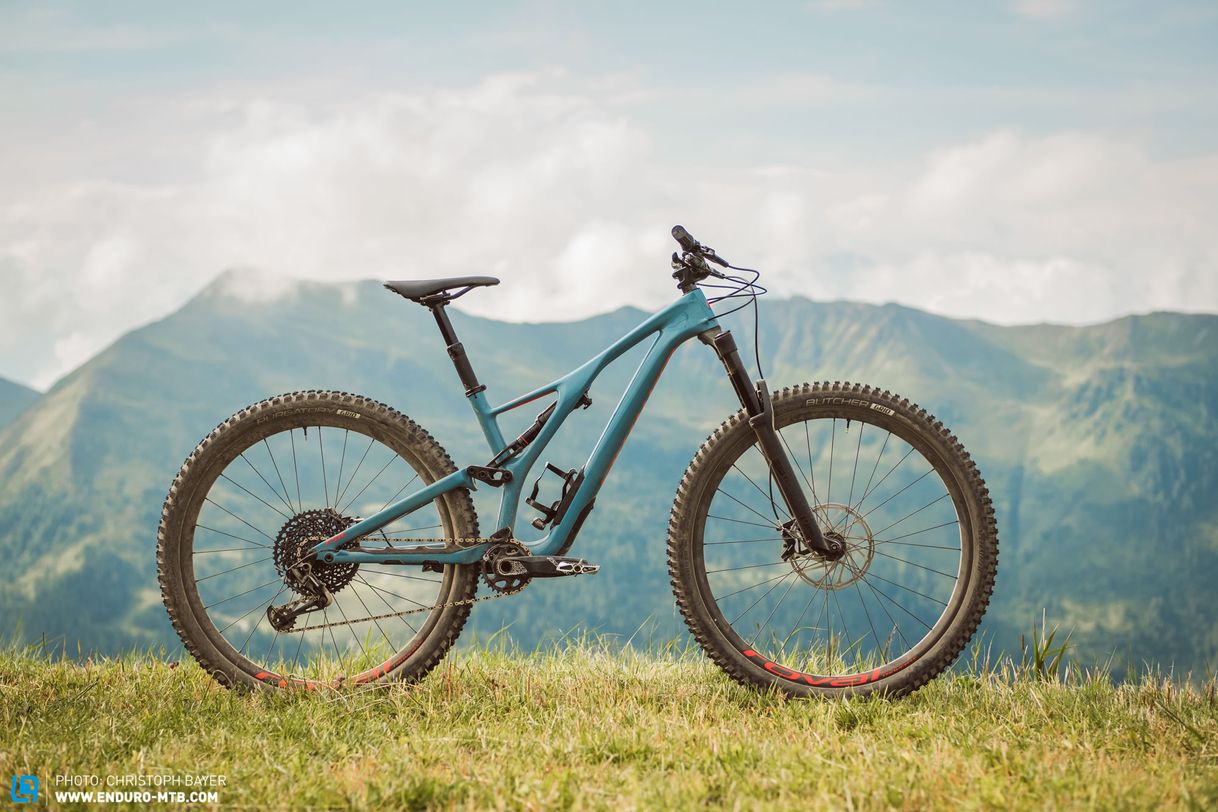 Social Stumpjumper 29|specialized