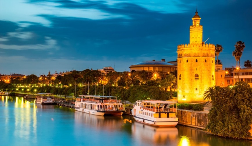 Social Torre del Oro