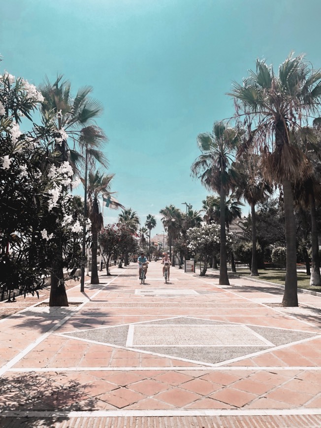 Paseo Alberto Vidiella Tudores