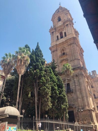 Catedral de Málaga