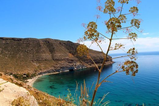 Parque Natural del Cabo de Gata-Níjar