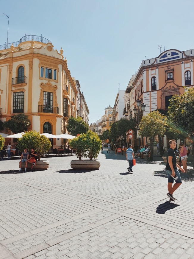 Lugar Bairro de Santa Cruz