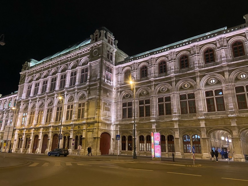 Lugar Vienna Operahouse