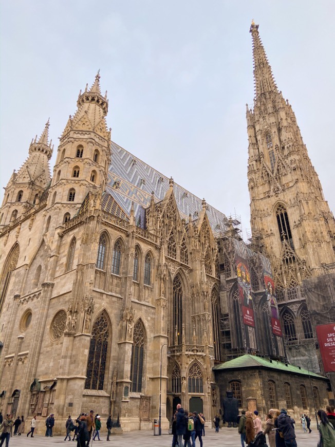 Place Catedral de Viena