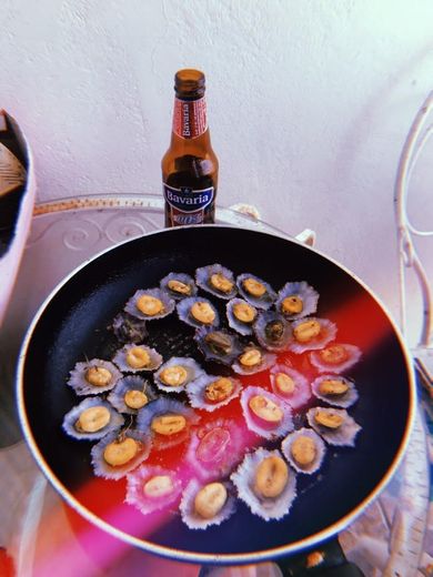 Madeira Limpets