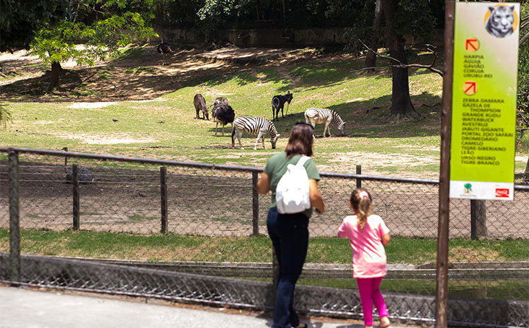 Place Zoológico de São Paulo