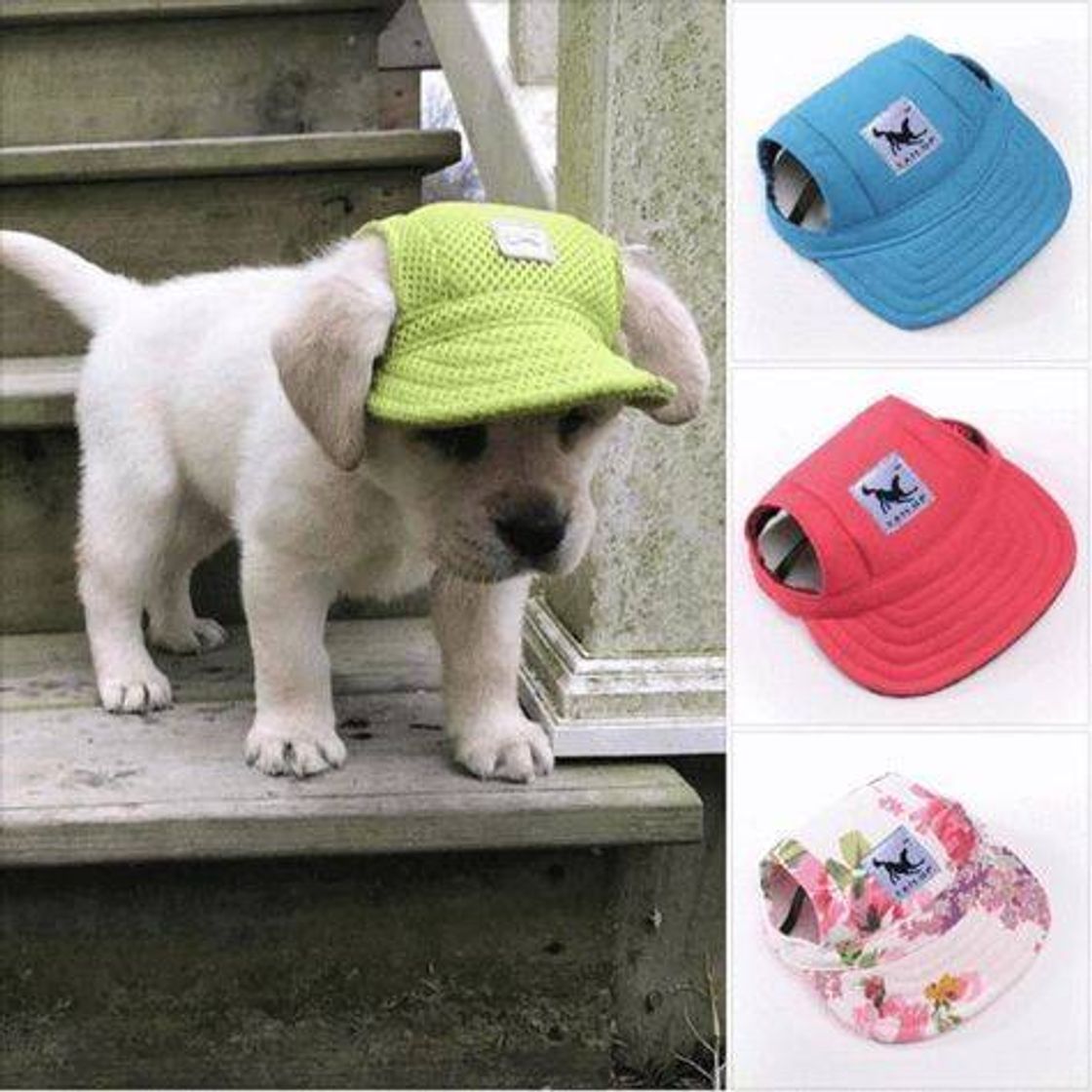 Social BONÉ PARA O SEU DOGUINHO🐾😍