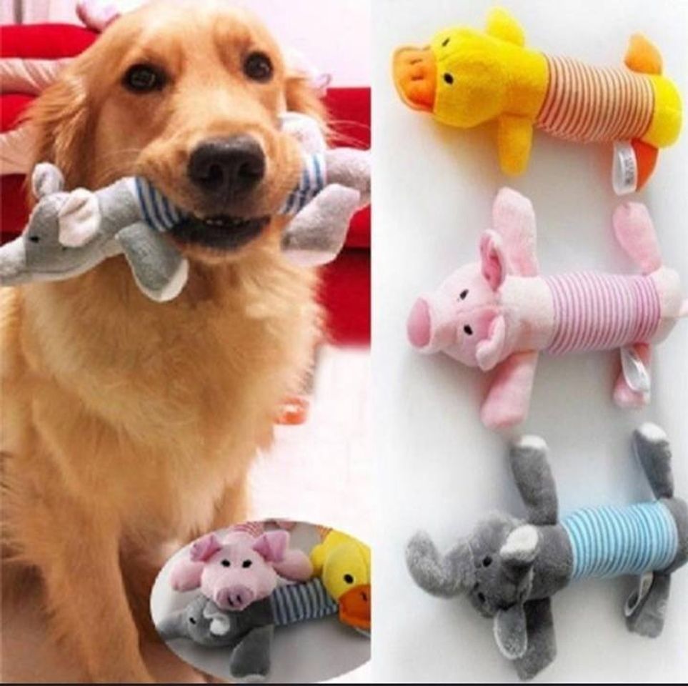 Social BRINQUEDO DOG 🐕