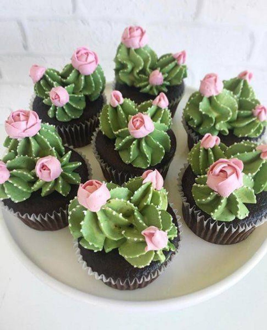 Fashion CUPCAKE CACTUS 🧁🌵