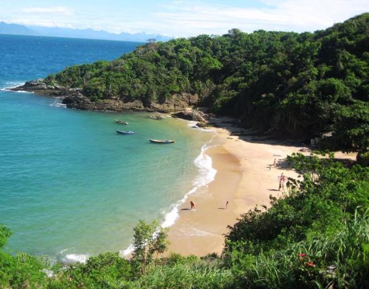 Lugar Praia João Fernandes