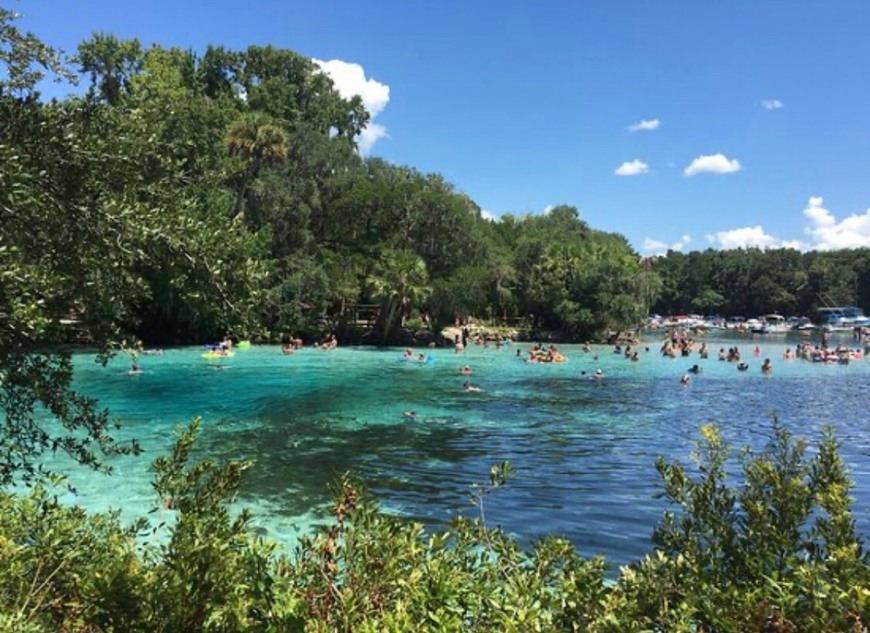 Lugar Silver Glen Springs