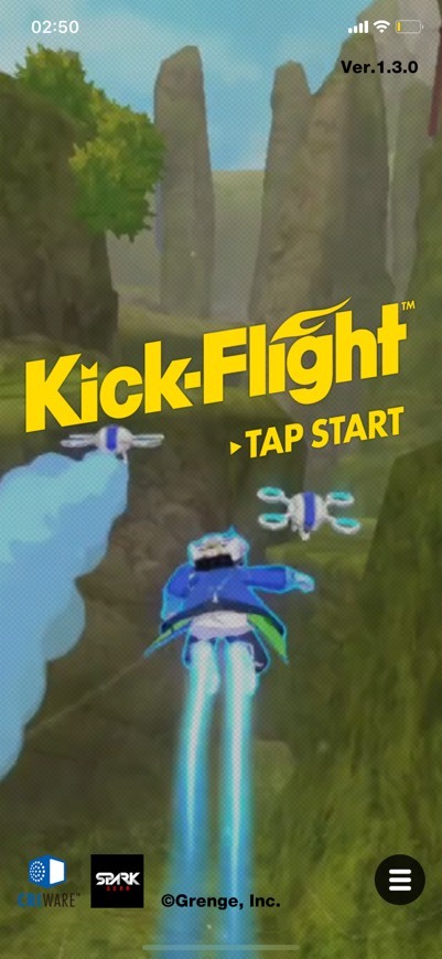 Videogames Kick-Flight