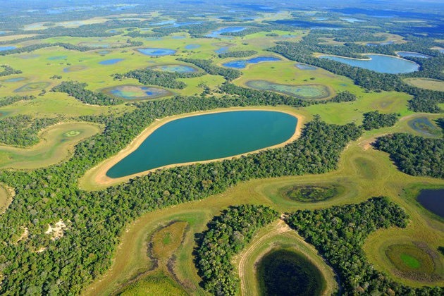 Lugar Pantanal