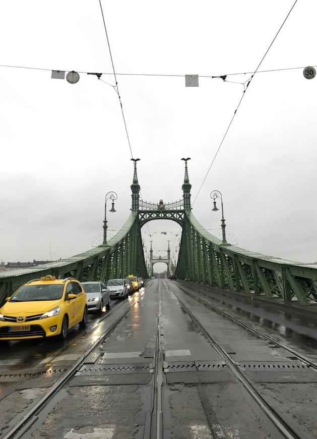 Lugar Puente de la Libertad