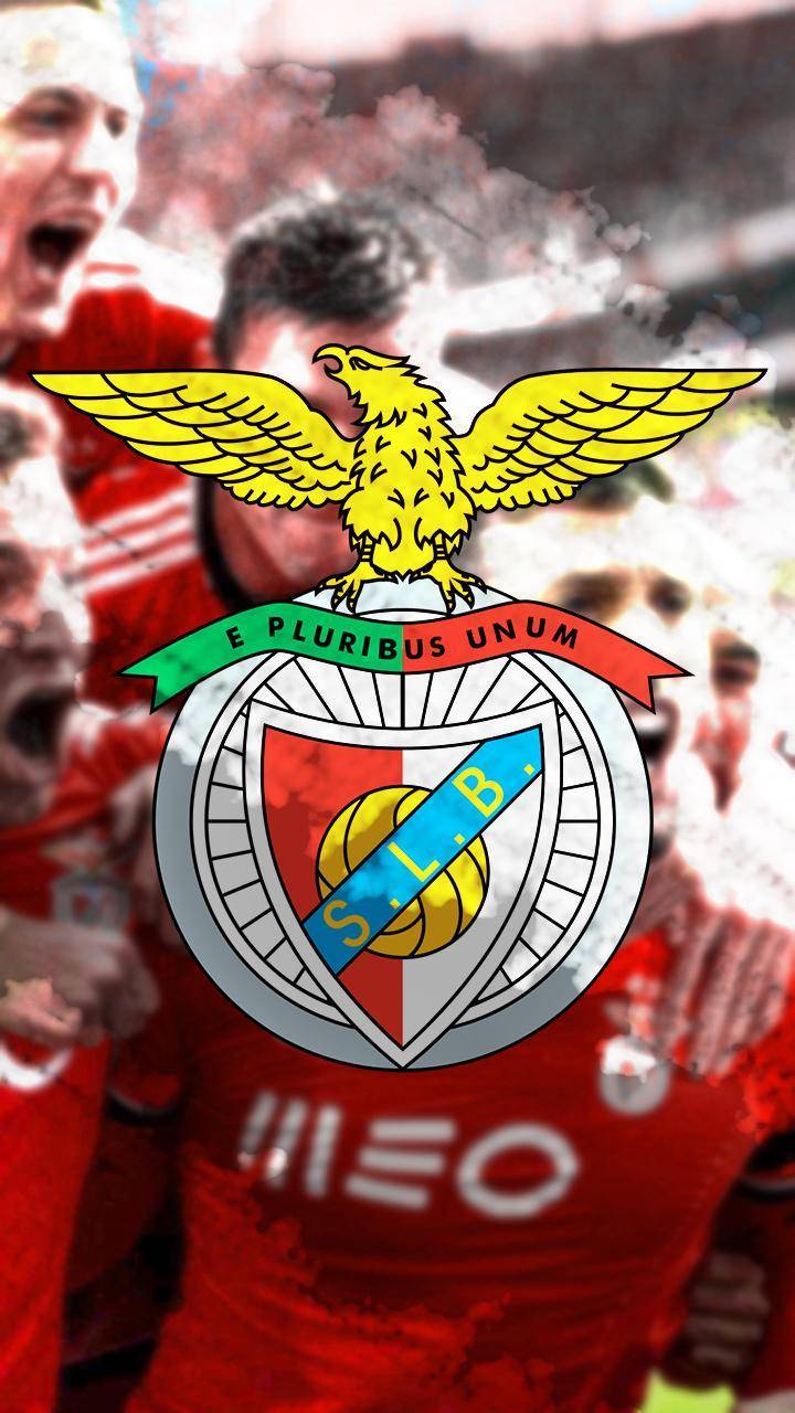 Moda ⚽ Benfica ⚽