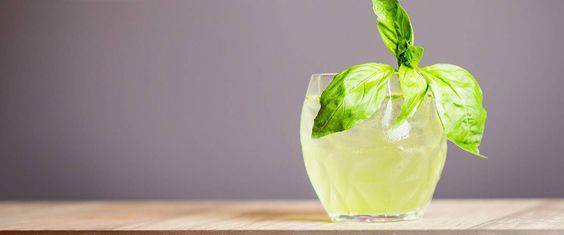 Gin Basil Smash