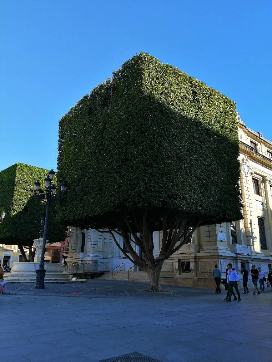 Lugar Banco de España