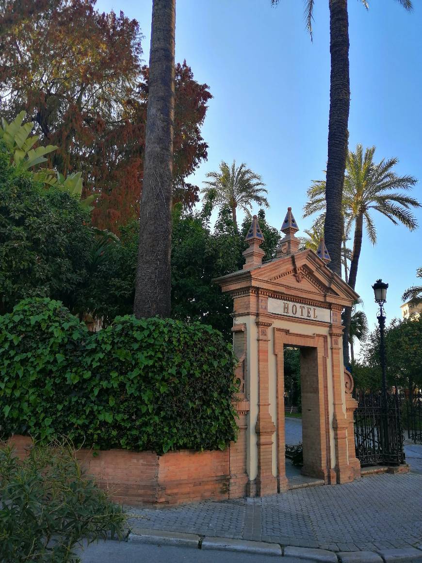 Lugar Hotel Alfonso XIII