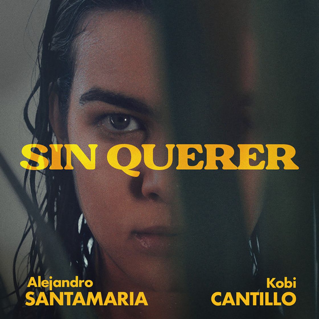 Canción Sin Querer