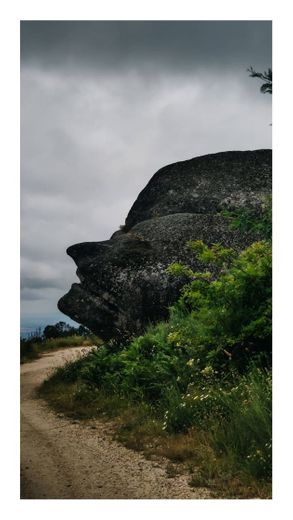 Cabeça da Velha