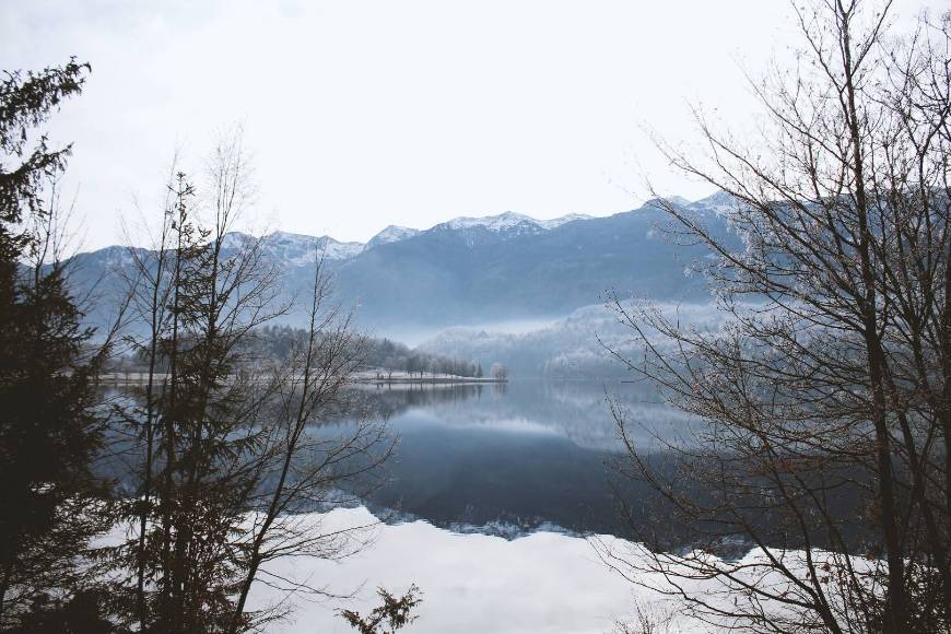 Place Lago Bohinj