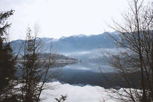 Lago Bohinj