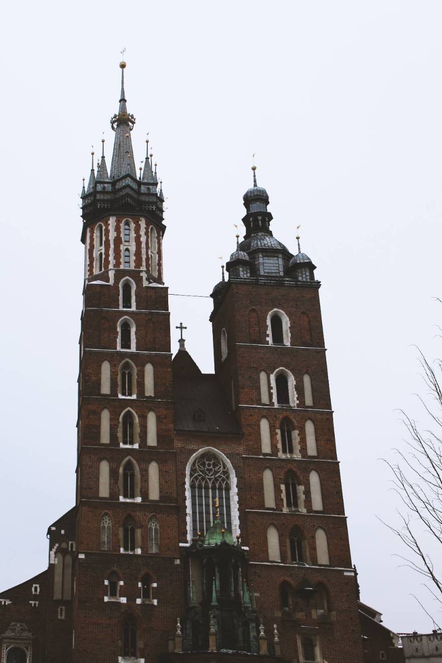 Lugar Basílica de Santa María