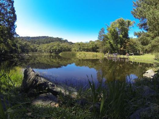 Lago das Carpas