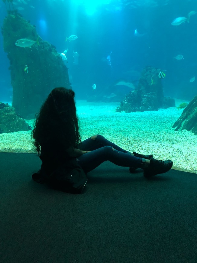 Lugar Oceanário de Lisboa