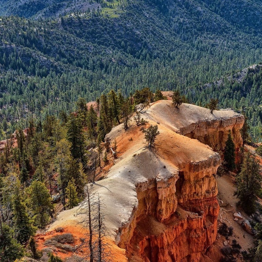 Place Parque Nacional del Cañón Bryce