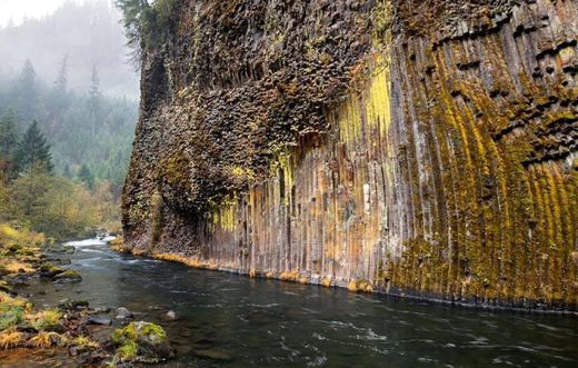 Place Umpqua National Forest