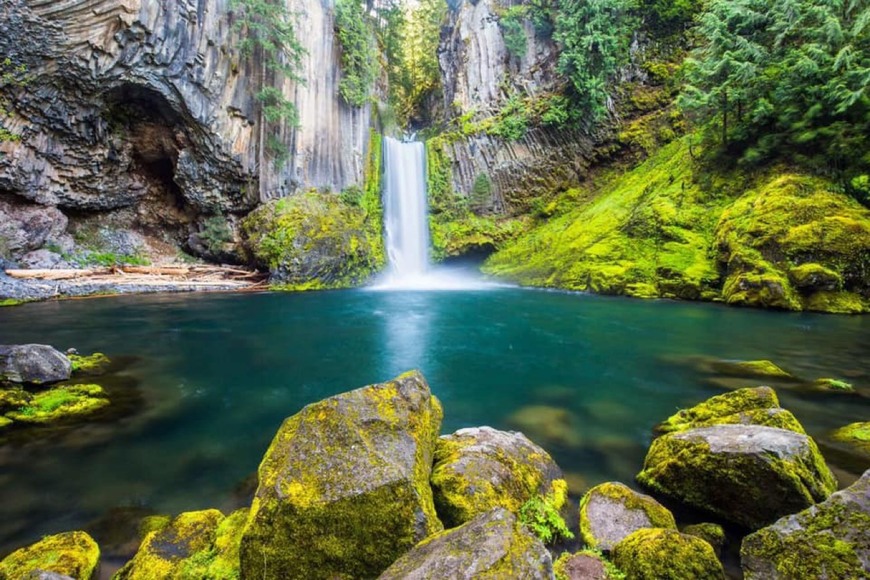 Place Umpqua National Forest