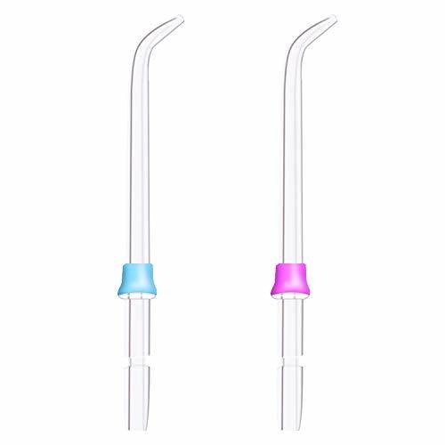 Lugar Rociador estándar de la higiene oral 2pcs para Waterpik WP-100 WP-450 WP-250