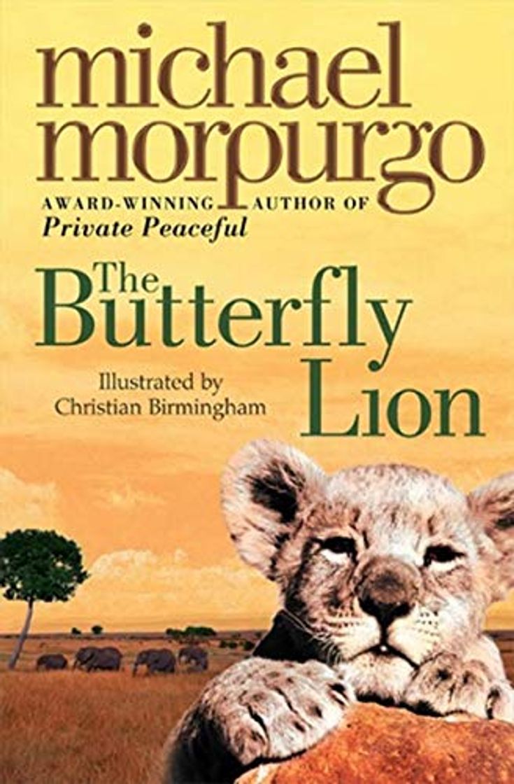 Book THE BUTTERFLY LION