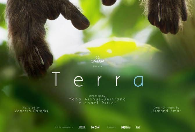 Movies Terra