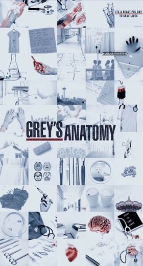 Greys anatomy 