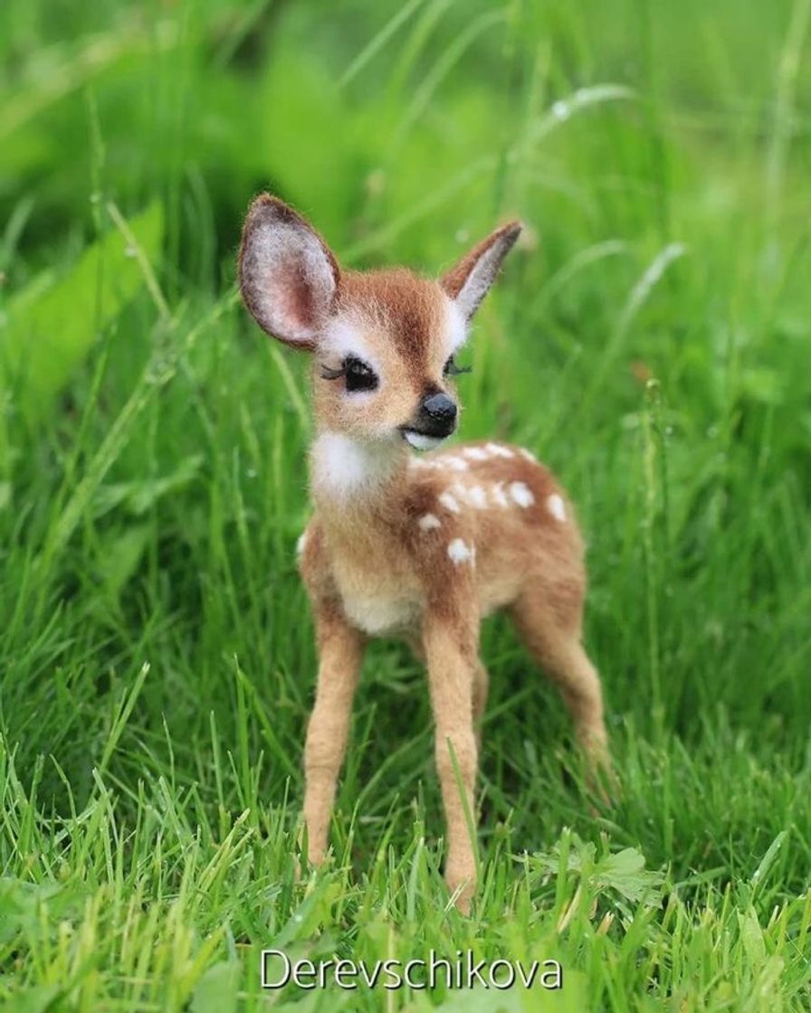 Fashion Cute Bambi 