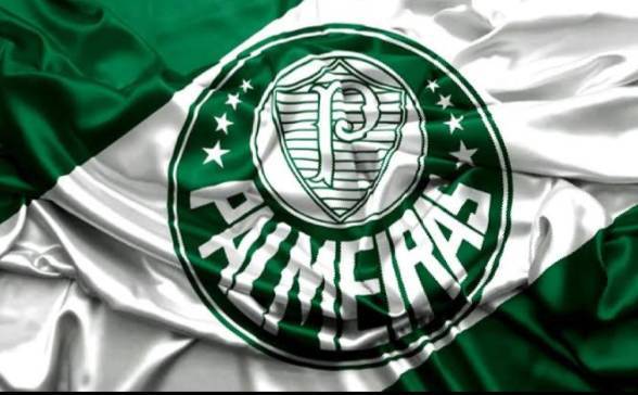 Product 6° Palmeiras