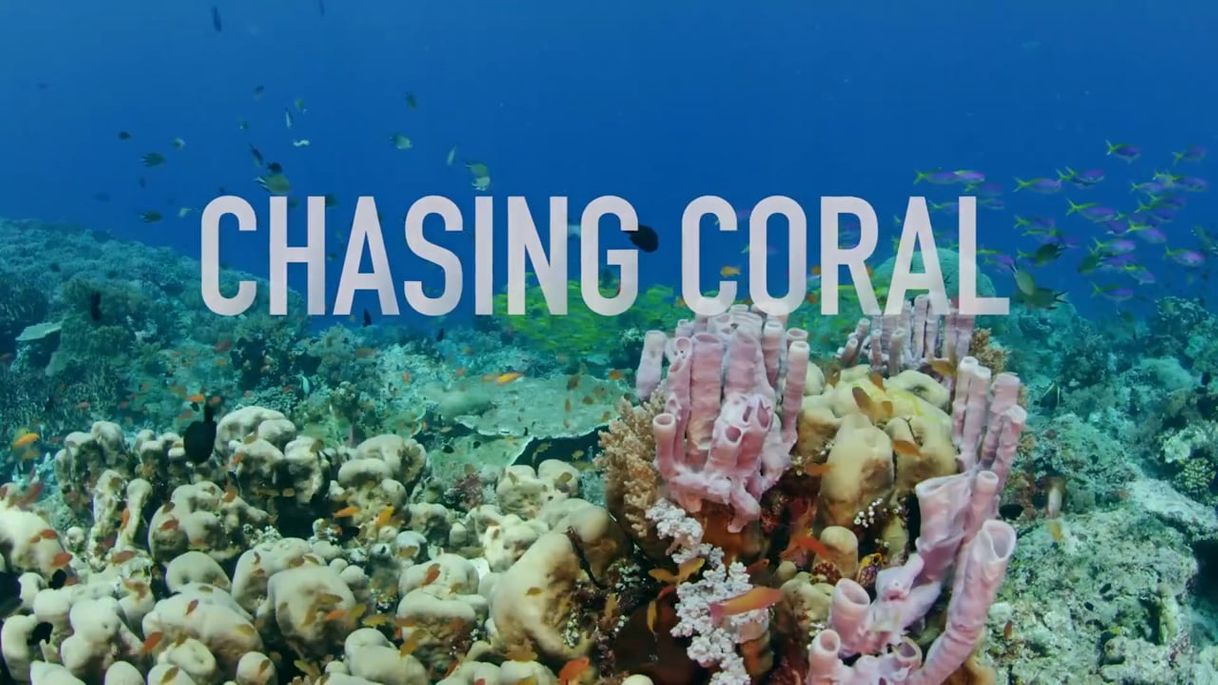 Movie Chasing Coral: The VR Experience