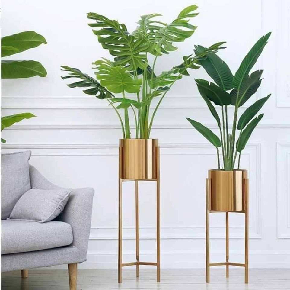 Fashion PLANTAS INTERIORES 