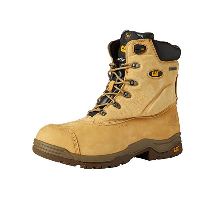 Social Cat Footwear Supremacy