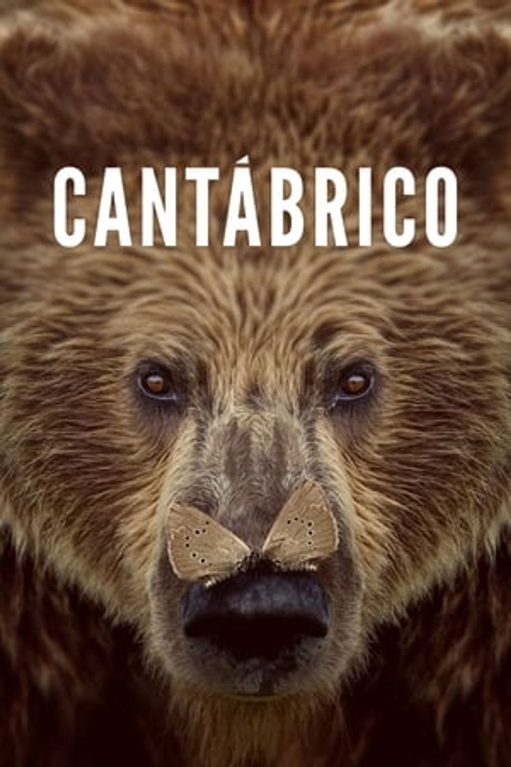 Cantabrico